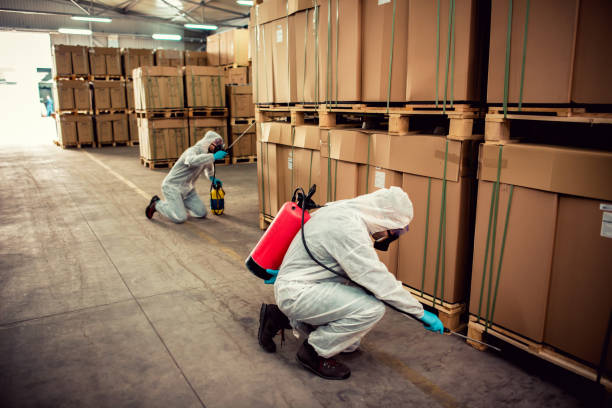 Best Termite Control Services  in Wilmington, NC