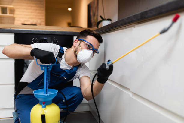 Best Pest Control Near Me  in Wilmington, NC