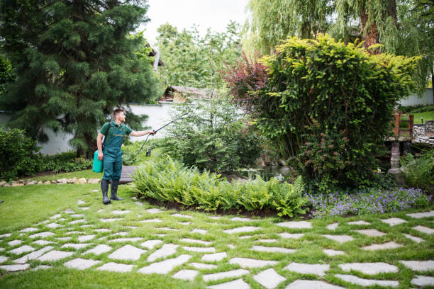 Best Local Pest Control Services  in Wilmington, NC