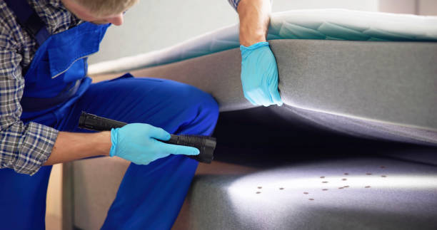 Reliable Wilmington, NC Pest Control Solutions