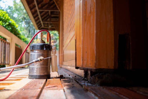 Best Wasp Removal Services  in Wilmington, NC
