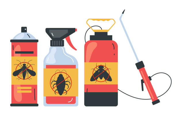 Best Spider Control Near Me  in Wilmington, NC